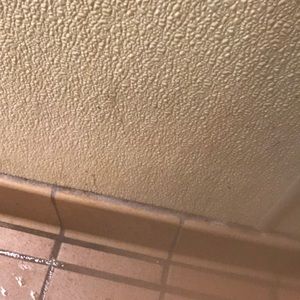 Meet your Posher, Jazmine